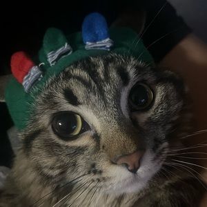 Meet your Posher, Angel